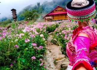Du lịch Sapa – “Thành phố trong sương” nổi tiếng du lich sapa