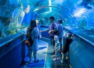 Hành trình khám phá thế giới đại dương tại thủy cung Aquaria KLCC Malaysia Hành trình khám phá thế giới đại dương tại thủy cung Aquaria KLCC Malaysia